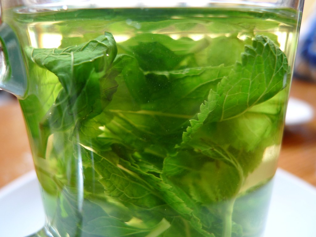 H2O +1: Water With Mint 1 4656370807 ffc3c3a654 b1